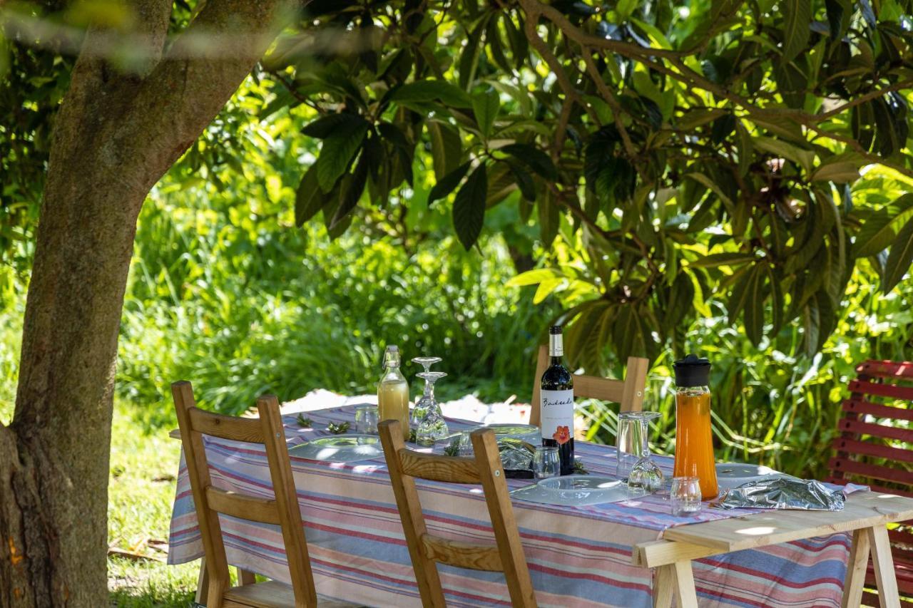 Avo Rosa Guesthouse São João da Ribeira 外观 照片