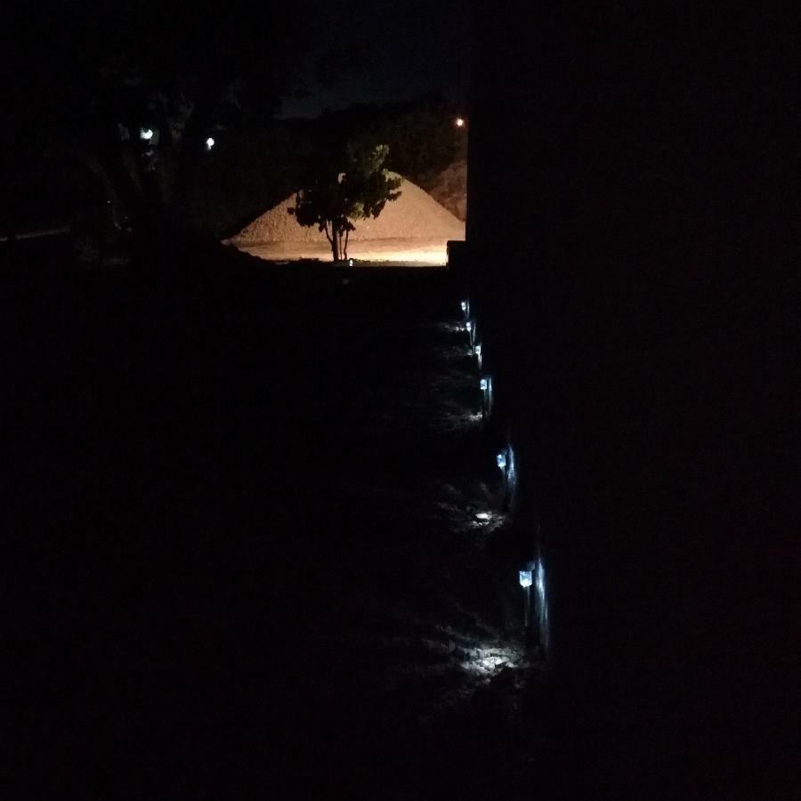 Avo Rosa Guesthouse São João da Ribeira 外观 照片